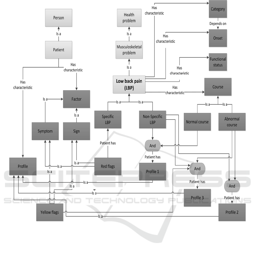 Cdss Org Chart