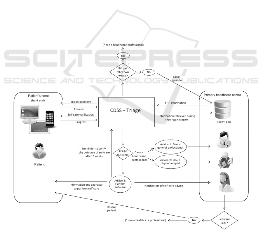 Cdss Org Chart