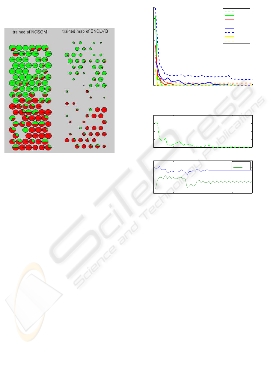 Meric Chart Pdf